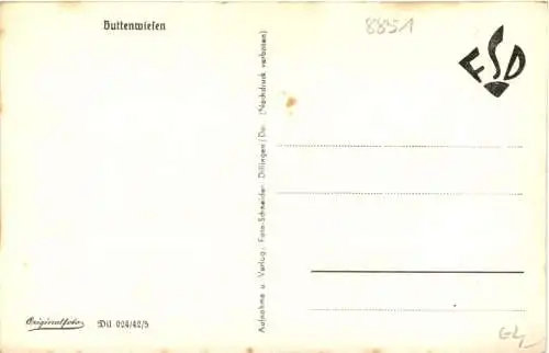 Buttenwiesen -742572