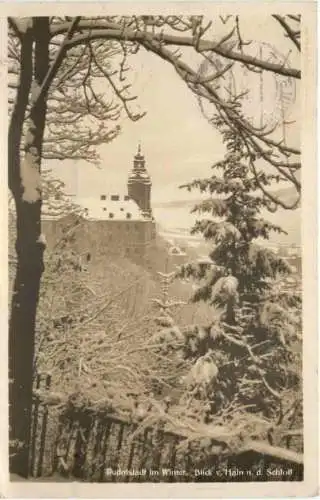 Rudolstadt im Winter -743130