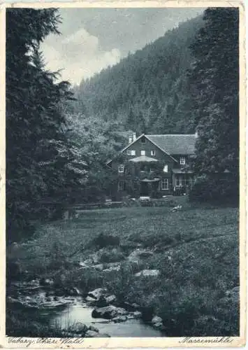 Tabarz - Massemühle -743180