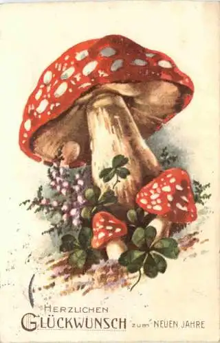 Neujahr - Fliegenpilz -743482