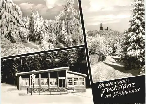 Fuchstanz im Taunus -745182