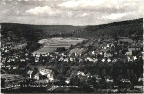 Bad Orb im Spessart - Lindenallee -745296