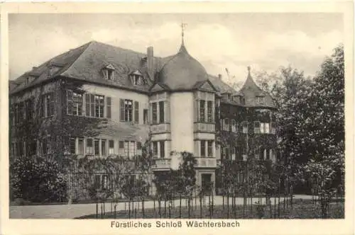 Wächtersbach im Kinzigtal - Schloß -745254