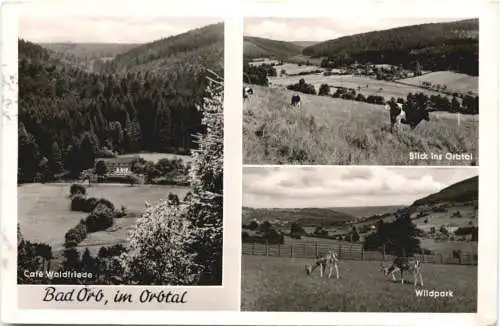 Bad Orb im Spessart -745442