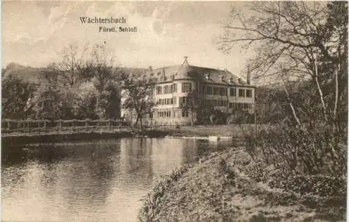 Wächtersbach im Kinzigtal - Schloß -745252