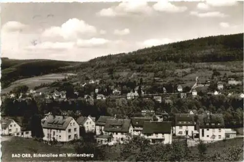 Bad Orb im Spessart - Birkenallee -745350