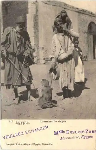 Egypt - Dresseurs de singes -745594
