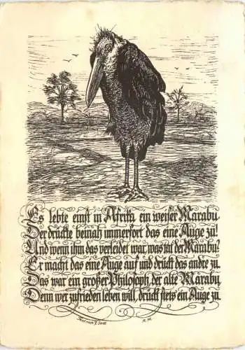 Marabu - Vögel -745694