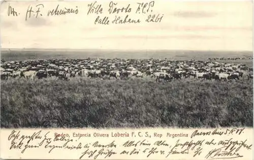 Argentina - Rodeo - Estancia Olivera Loberia -699188