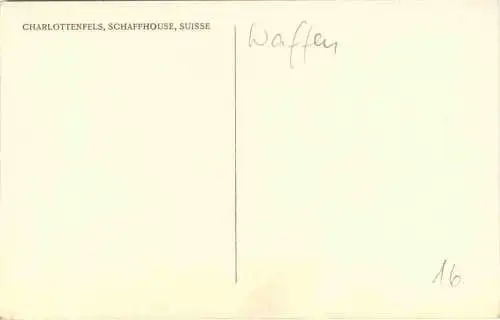 Ehrendolche aus Turkestan -746004