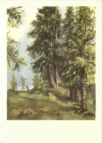 Künstler Ak E. Kreidolf -746182