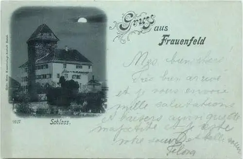Gruss aus Frauenfeld - Schloss -746248
