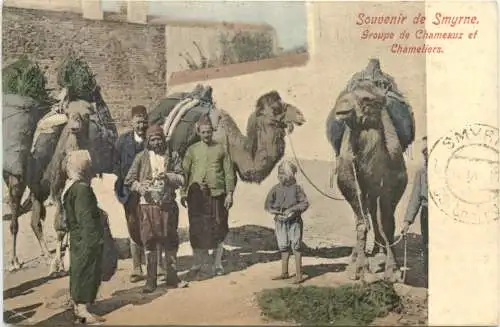 Souvenir de Smyrne - Groupe de Chameaux -746528