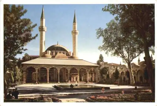 Dams - Damscus -746592