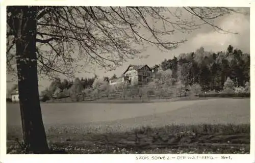 Der Wolfsberg - Sächs. Schweiz -746766