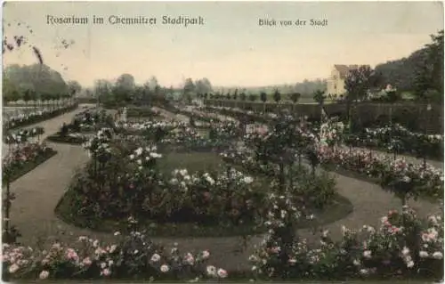 Chemnitz - Rosarium im Stadtpark -747342