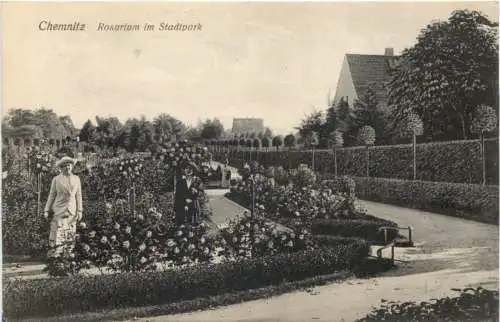 Chemnitz - Rosarium im Stadtpark -747356
