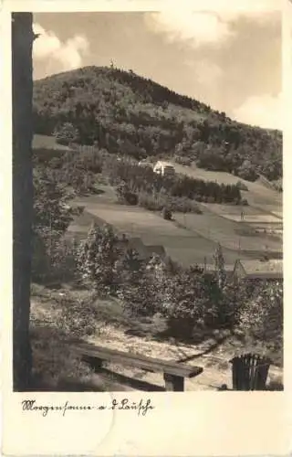 2000jährige Eibe in Krombach bei Hayn Oybin -747850