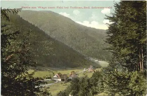 Weg von Fahl bei Todtnau -749008