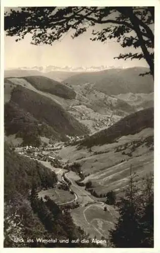 Wiesental im Schwarzwald - Todtnauberg -749068