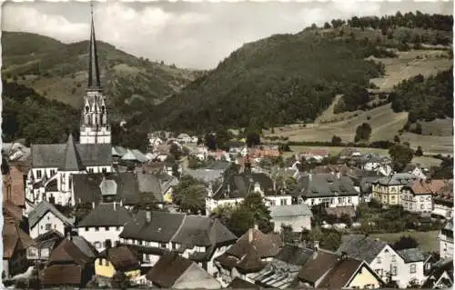 Schönau im Schwarzwald -749062