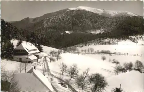 Schönau - Gasthaus Haldenhof -749192