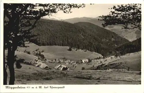 Muggenbrunn Schwarzwald - Todtnau -749548