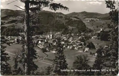 Schönau im Wiesental -749524