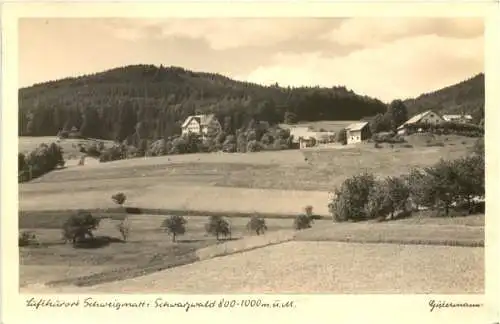 Schweigmatt im Schwarzwald -749518