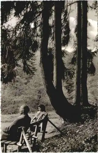 Hartentanne bei Herrenalb -749494