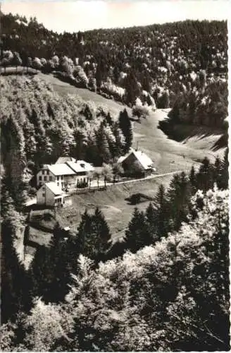 Häg Zell im Wiesental -749594