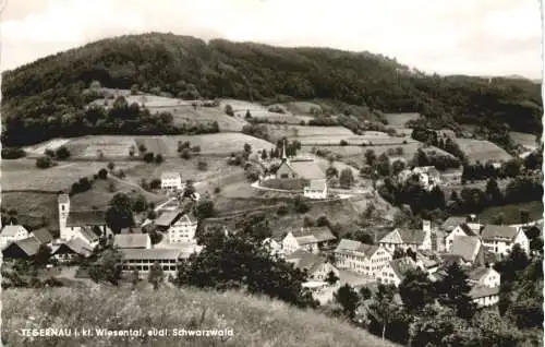 Tegernau im Wiesental -749580