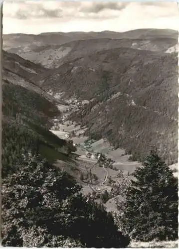 Feldberg Schwarzwald -749688