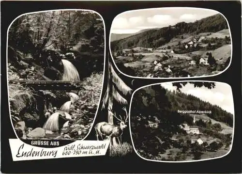 Grüße aus Endenburg Schwarzwald -749812