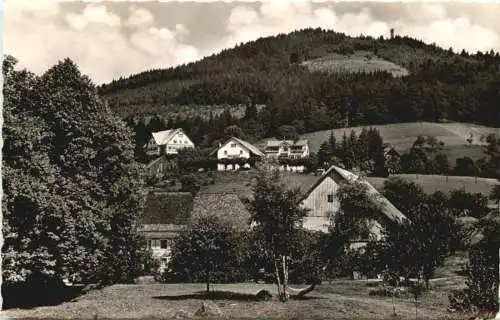 Schopfheim im Wiesental - Schweigmatt -750054