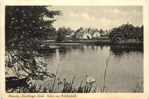 Munster Lüneburger Heide - Partie am Mühlenteich -750764