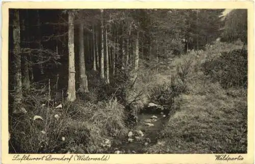 Dorndorf Westerwald -750974