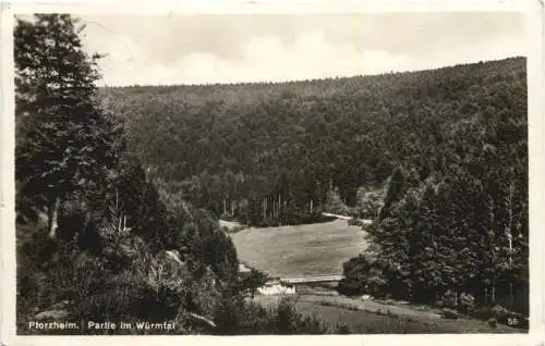 Pforzheim - Partie im Würmthal -751590