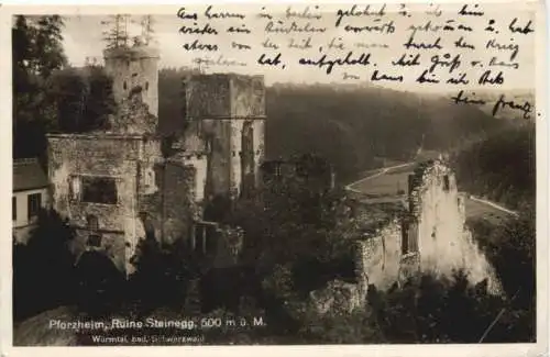 Pforzheim - Ruine Steinegg -751636