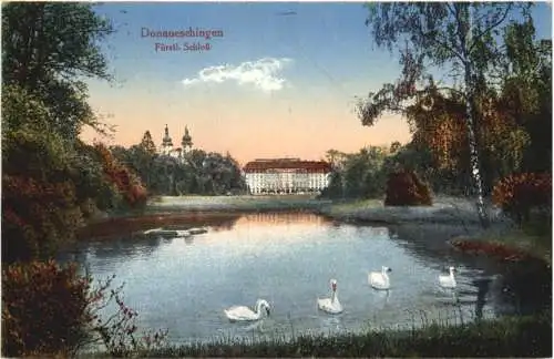 Donaueschingen - Schloss -752340