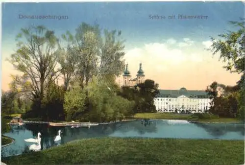 Donaueschingen - Schloss mit Pfauenweiher -752338