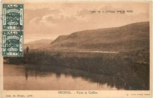 Migdal - Farm in Galilee -752654