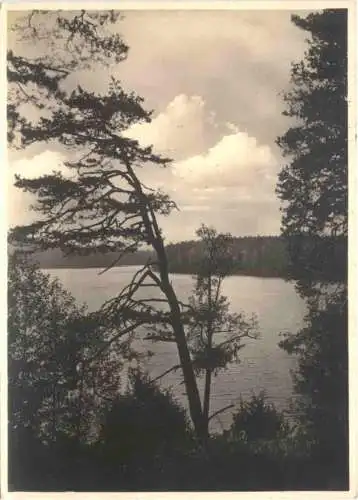 Masuren - Rudczanny - Gusziensee -753034