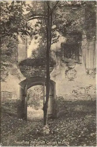 Ostpreussen - Cadinen - Klosterruine -753120