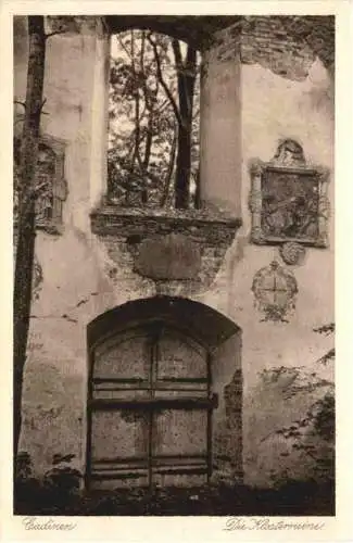 Ostpreussen - Cadinen - Klosterruine -753118