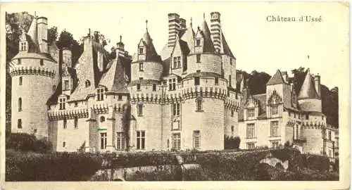 Chateau d Usse - Mini postcard -753260