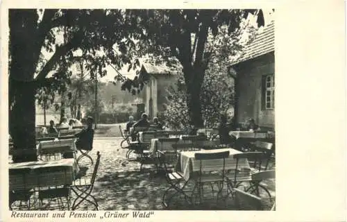 Seifersdorf Kr. Sorau - Pension Grüner Wald -753498