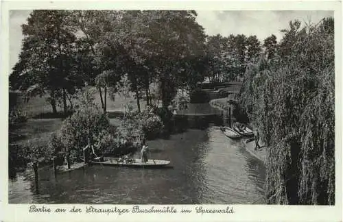 Straupitzer Buschmühle Spreewald -753494
