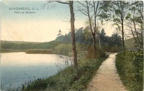 Schönberg Oberlausitz - Partie am Mühlteich -753596