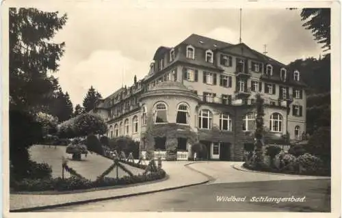 Wildbad Schlangenbad -754178